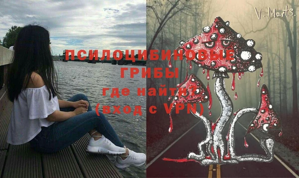 тгк Арсеньев