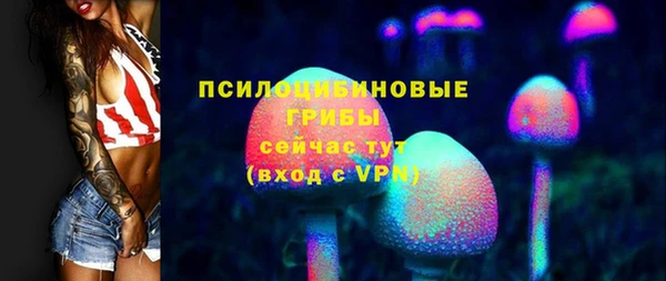хмурый Аркадак