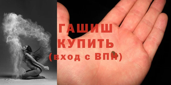 хмурый Аркадак