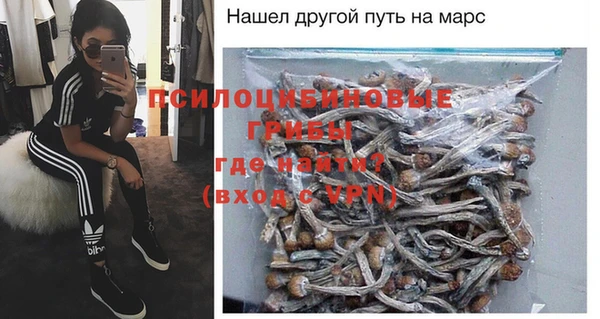 хмурый Аркадак