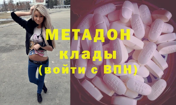 хмурый Аркадак