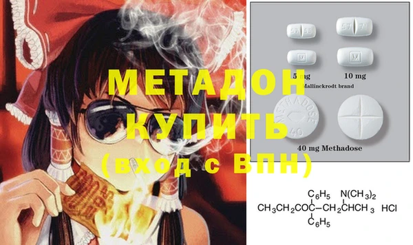 хмурый Аркадак