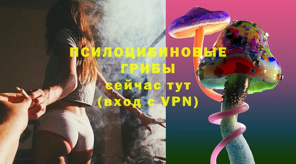 хмурый Аркадак