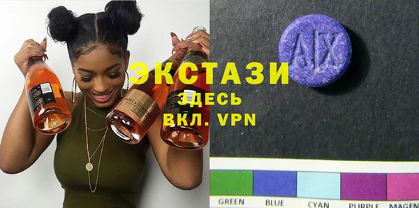 хмурый Аркадак