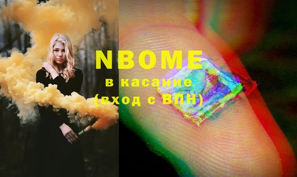 хмурый Аркадак