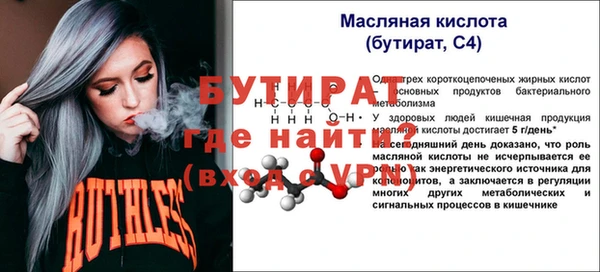 хмурый Аркадак