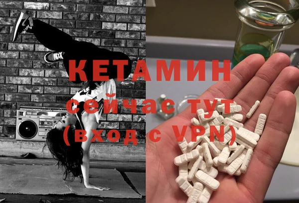 хмурый Аркадак