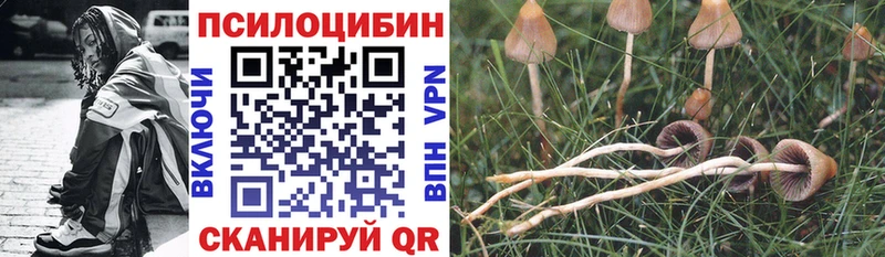 Псилоцибиновые грибы MAGIC MUSHROOMS продажа наркотиков Октябрьск
